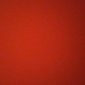 Meet your Posher, Timothy